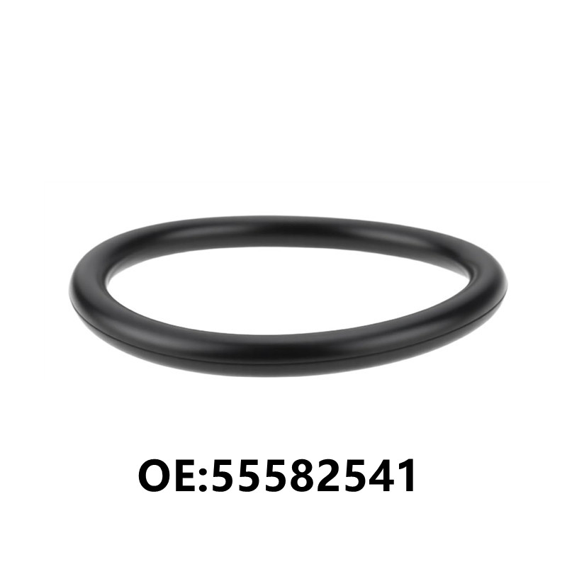 1 Stück 55582541 Ölkappendicht – Tank O-Ring Seal Bewertung und Preis