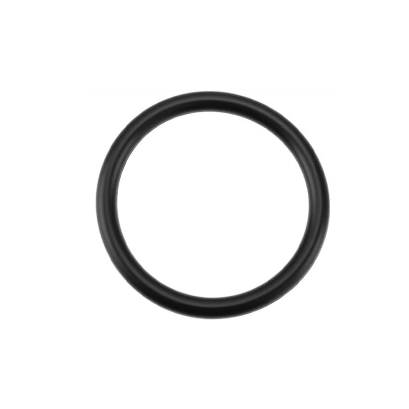 1 Stück 55582541 Ölkappendicht – Tank O-Ring Seal Bewertung und Preis